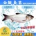 2023新苗白鲢鱼苗鳊鱼苗四大家鱼出售各种淡水鱼苗