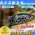 【2023新苗】淡水珍珠石斑鱼苗龙胆石斑鱼苗花斑鱼苗