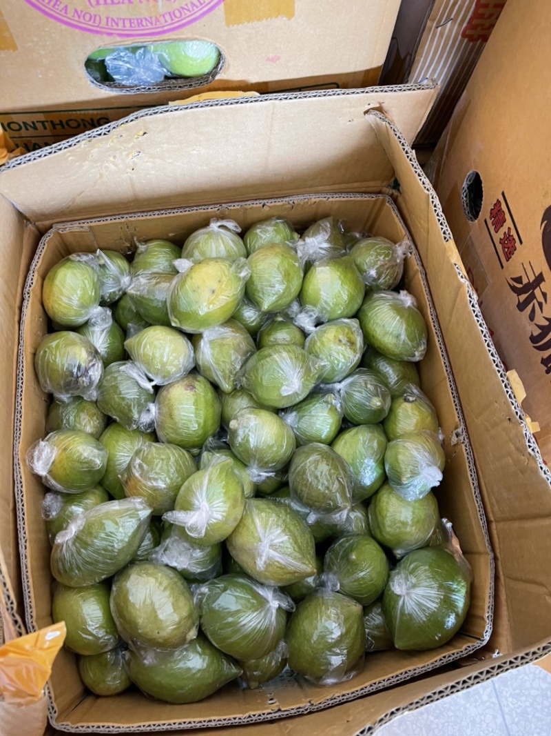 无籽新鲜广东香水柠檬二级果