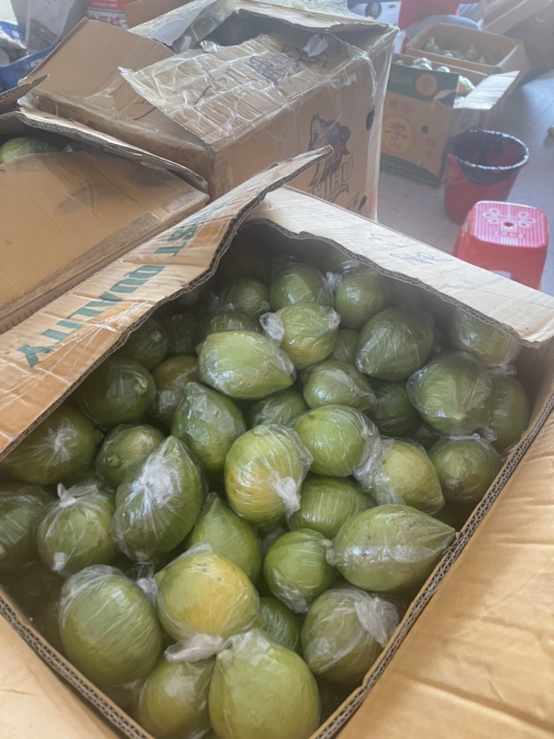 无籽新鲜广东香水柠檬二级果