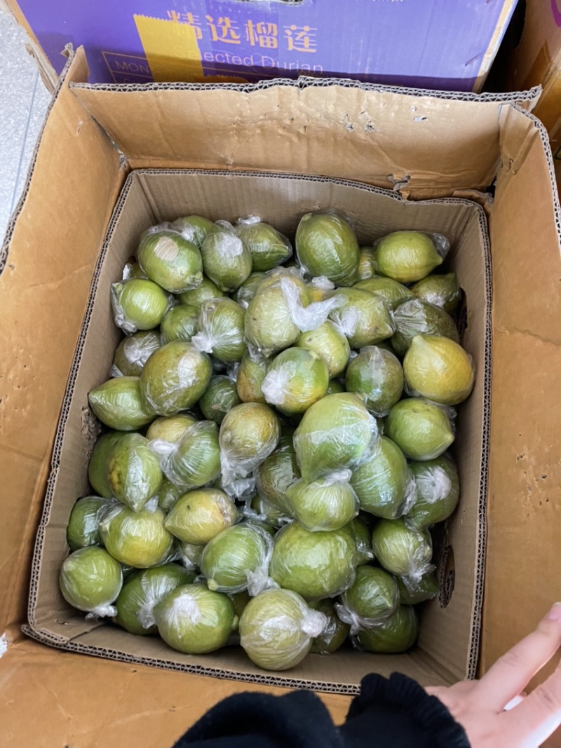 无籽新鲜广东香水柠檬二级果