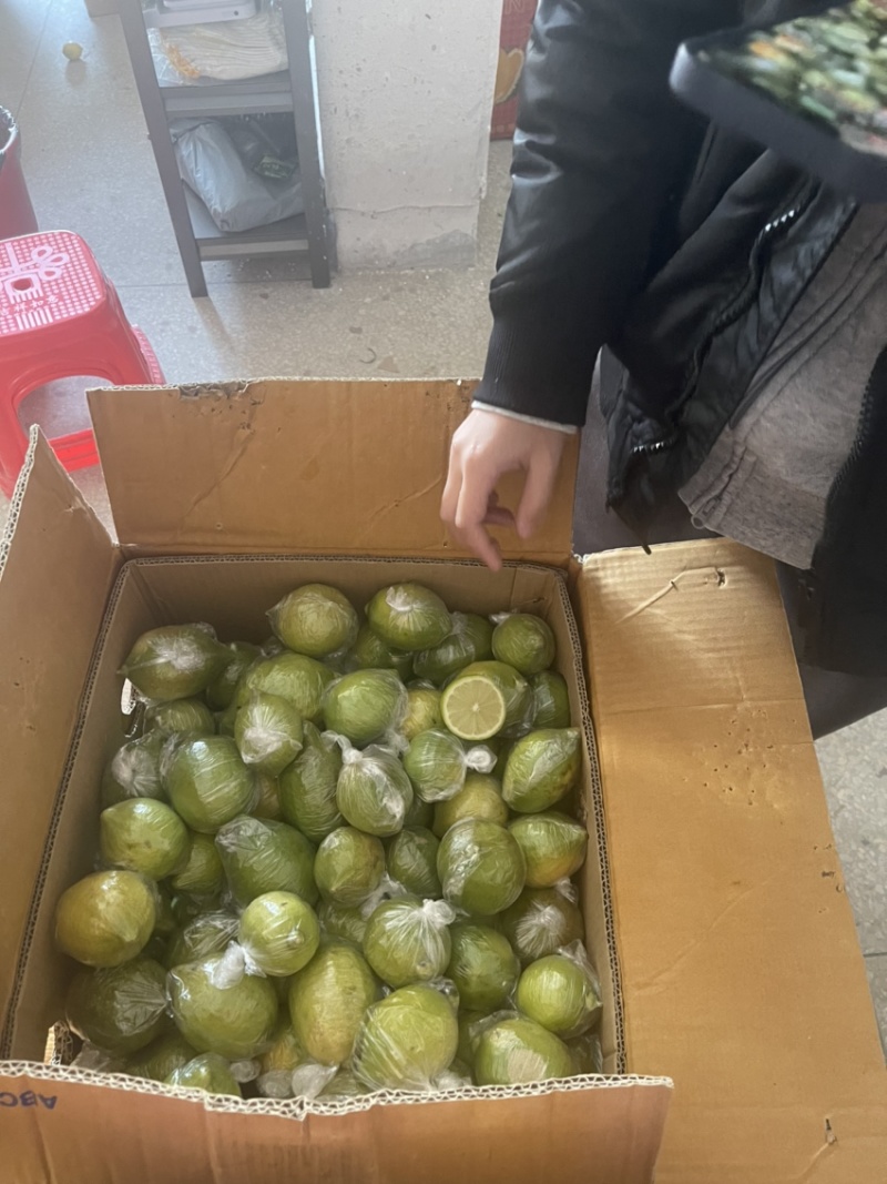 无籽新鲜广东香水柠檬二级果
