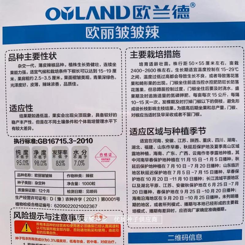欧丽皱皱辣辣椒种子基地专用小皱皮特抗病高产皱皮椒种子