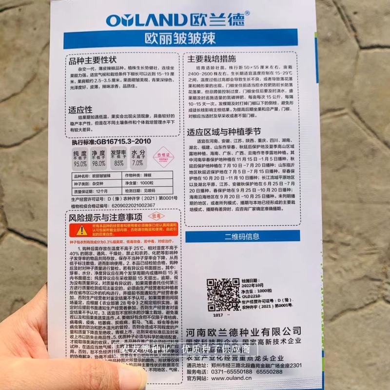 欧丽皱皱辣辣椒种子基地专用小皱皮特抗病高产皱皮椒种子