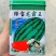 耐强光高温大果花皮椭圆形西瓜种子双红瓤绿宝龙霸王西瓜种