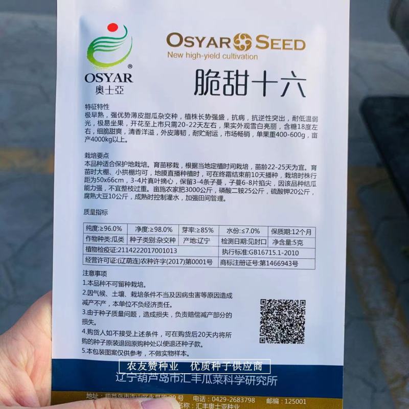 奥士亚脆甜十六甜瓜种子外皮薄韧杂交一代甜瓜种籽耐低温