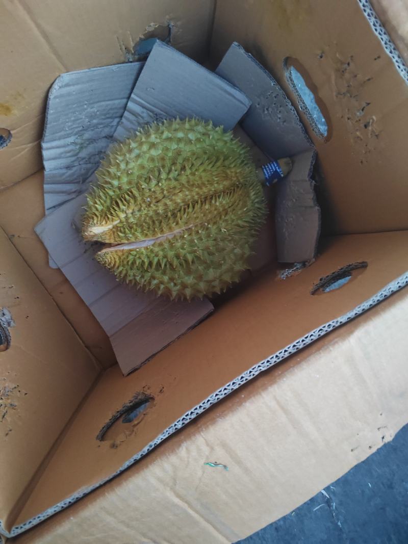 烟台红富士苹果，供应超市，机关单位欢迎来电咨询