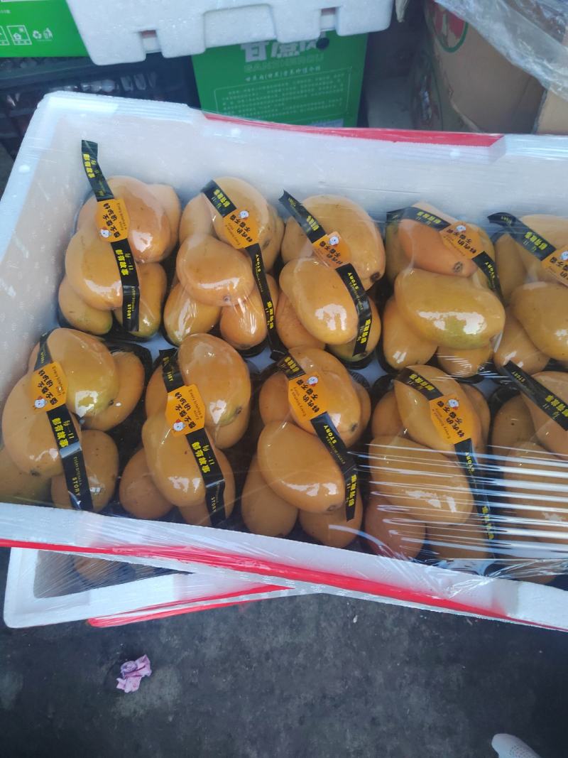 烟台红富士苹果，供应超市，机关单位欢迎来电咨询