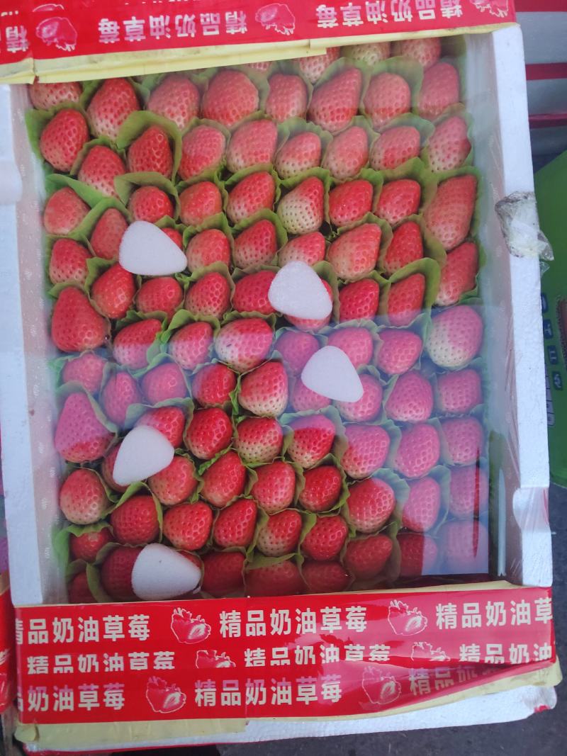 烟台红富士苹果，供应超市，机关单位欢迎来电咨询