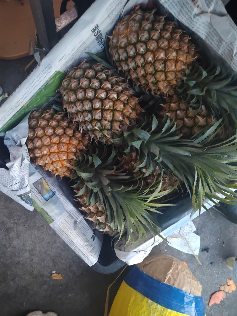 烟台红富士苹果，供应超市，机关单位欢迎来电咨询