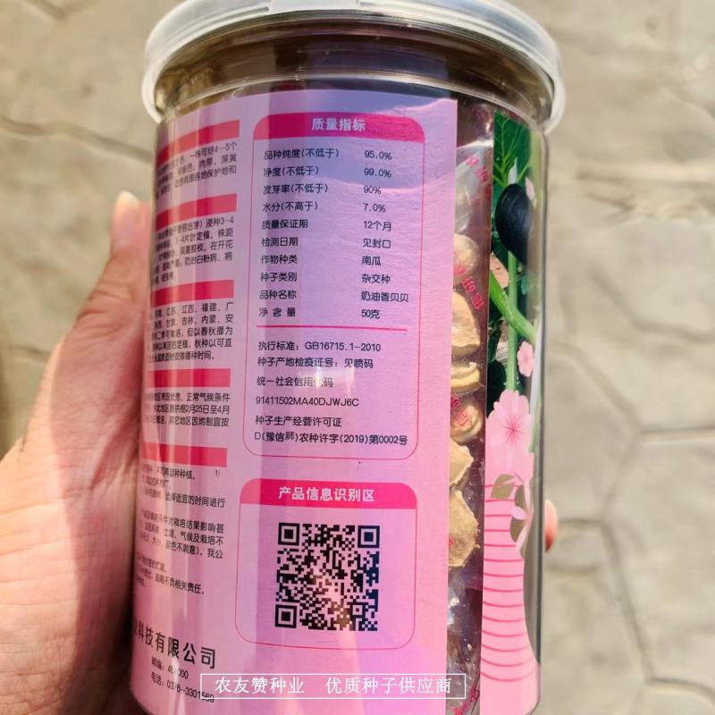 香甜粉糯奶油香贝贝南瓜种子早熟，杂交一代迷你贝贝南瓜种子