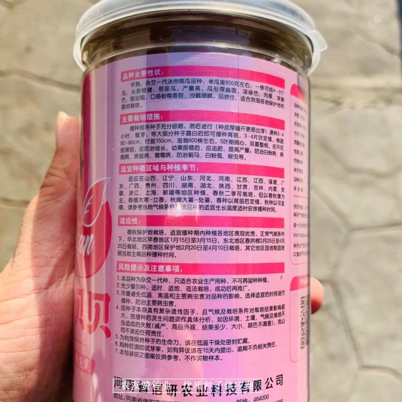香甜粉糯奶油香贝贝南瓜种子早熟，杂交一代迷你贝贝南瓜种子