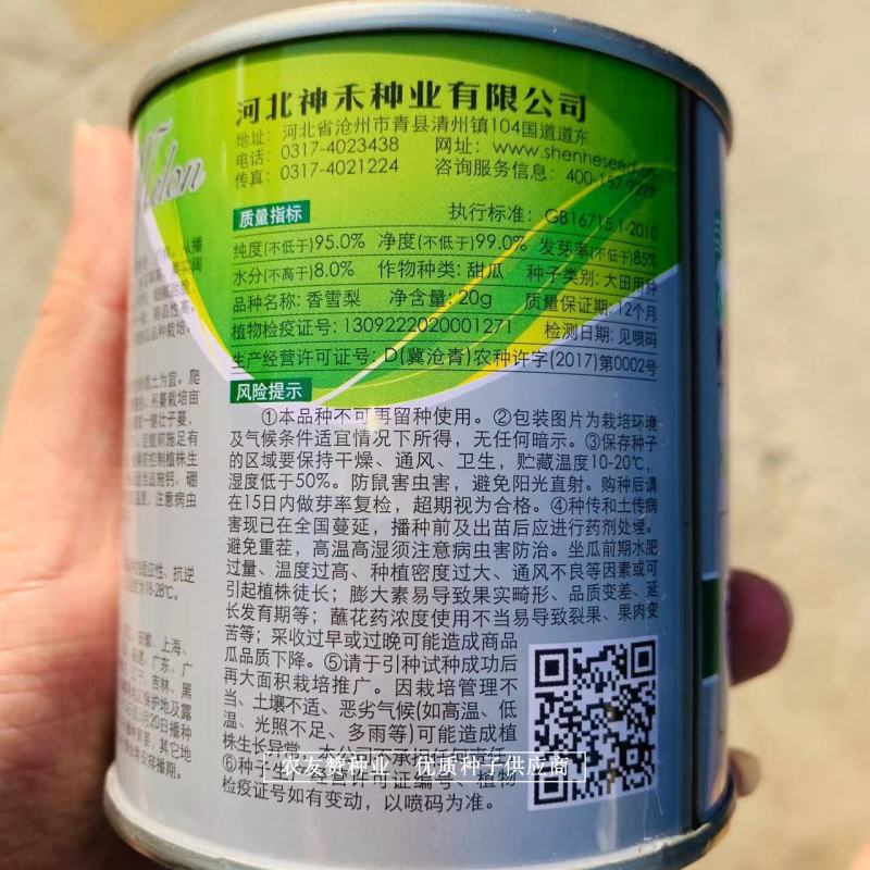 香雪梨白皮特甜薄皮甜瓜种子高糖香甜脆酥蜜甜瓜种子