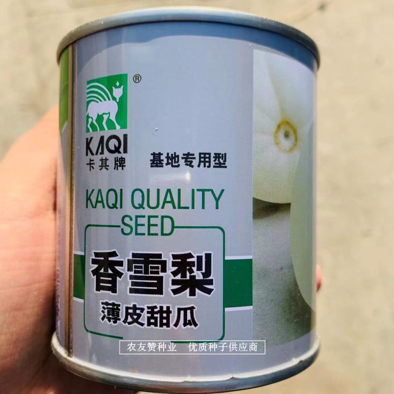 香雪梨白皮特甜薄皮甜瓜种子高糖香甜脆酥蜜甜瓜种子