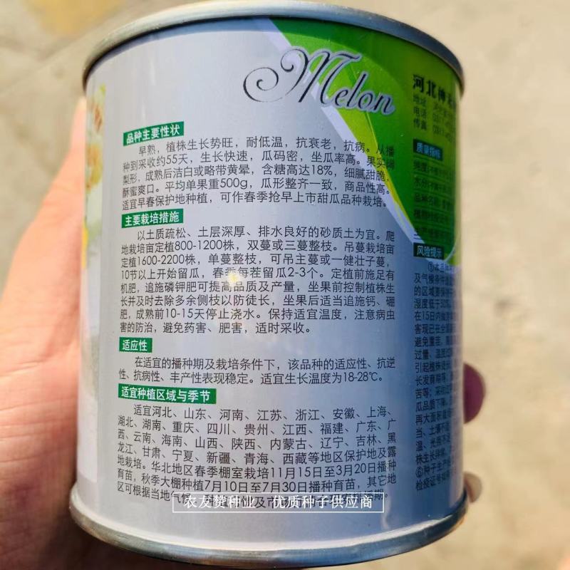 香雪梨白皮特甜薄皮甜瓜种子高糖香甜脆酥蜜甜瓜种子