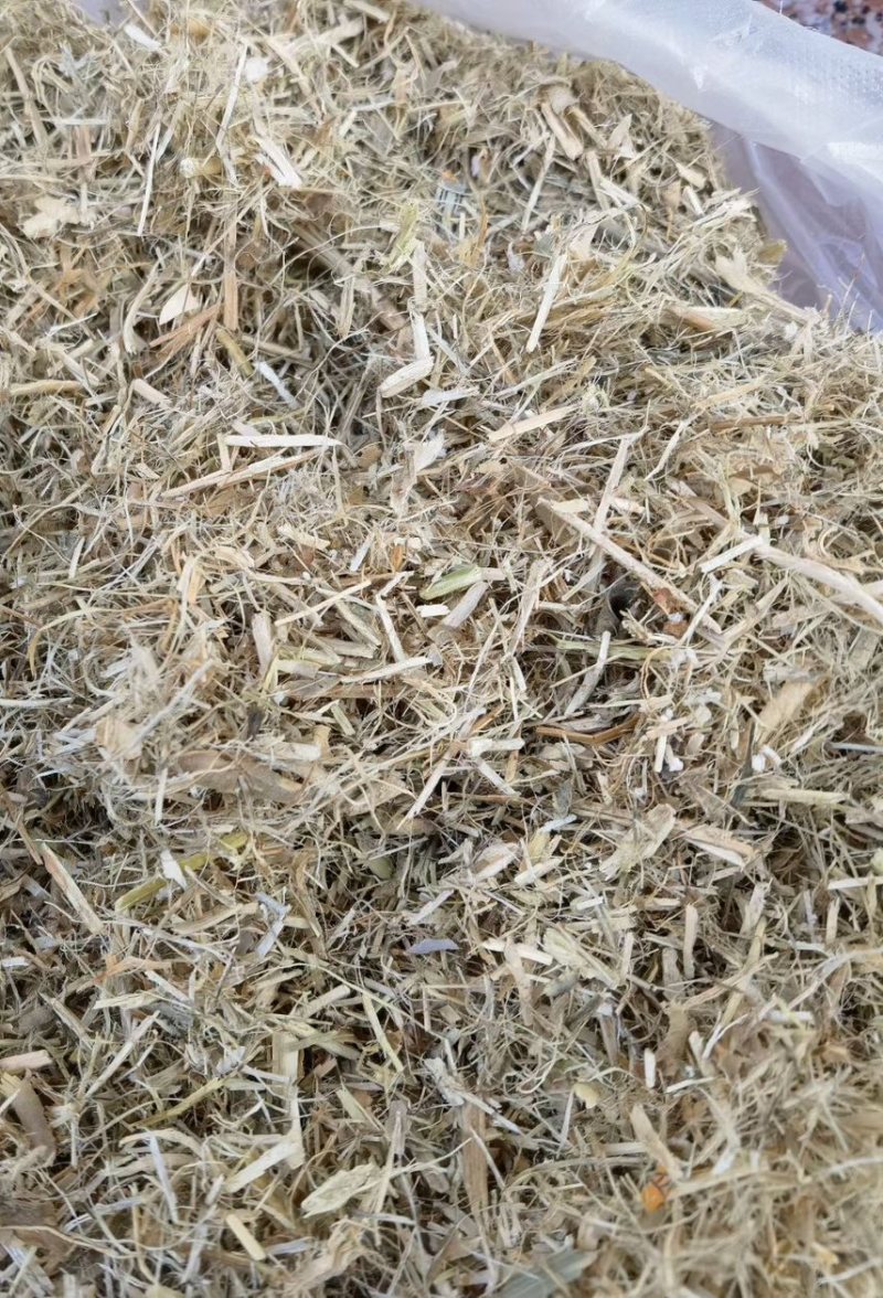 揉丝豆秸，比腿都白