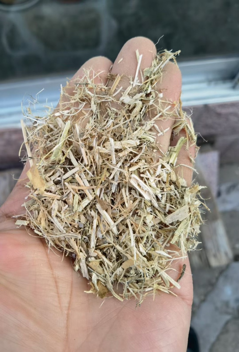 揉丝豆秸，比腿都白