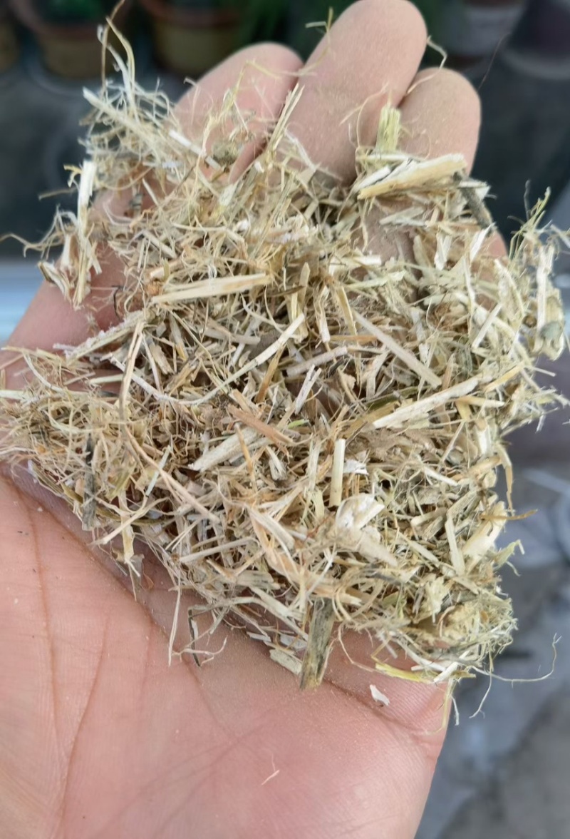 揉丝豆秸，比腿都白