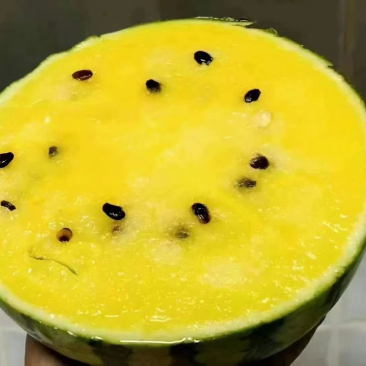 黄瓤西瓜