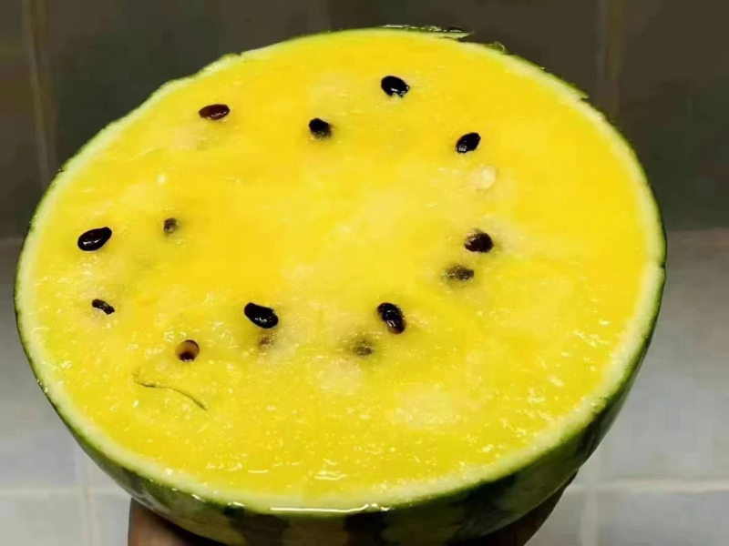 黄瓤西瓜