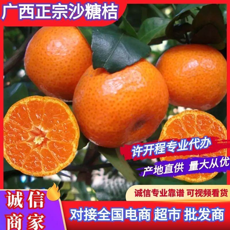 广西平南砂糖橘、细皮起沙、纯甜无酸、支持全国发货