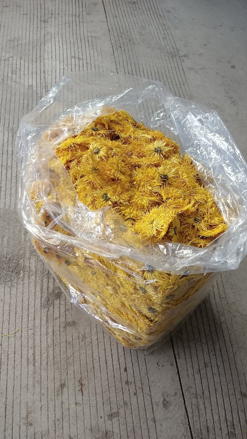 菊花茶金丝皇菊徽州皇菊黄山贡菊，大货批发