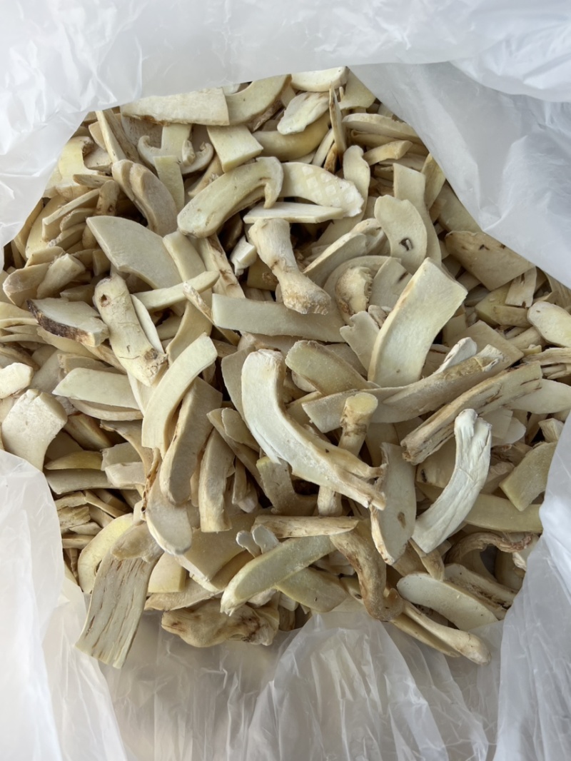 冰冻香格里拉松茸云南特产松茸菌菇