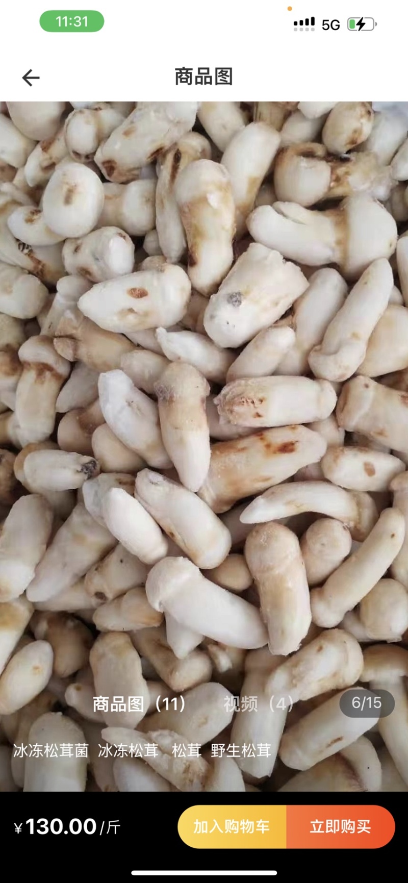 冰冻香格里拉松茸云南特产松茸菌菇