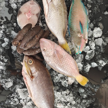 海鲜大礼包，锦福益海福兔贺岁，福盈有余海鲜套餐