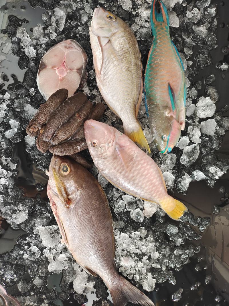 海鲜大礼包，锦福益海福兔贺岁，福盈有余海鲜套餐