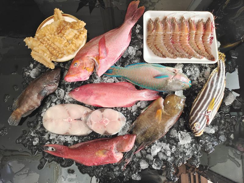 海鲜礼盒，海鲜大礼包，福兔贺岁礼盒，益海甄选套餐