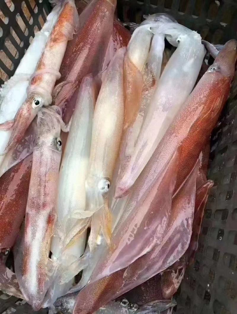海鲜礼盒，海鲜大礼包，福兔贺岁礼盒，益海甄选套餐