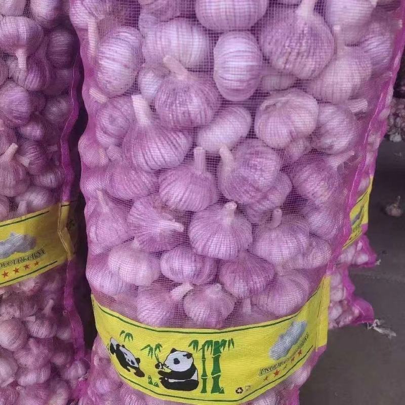 【金乡大蒜】产地直发供应各大市场电商商超品质保证