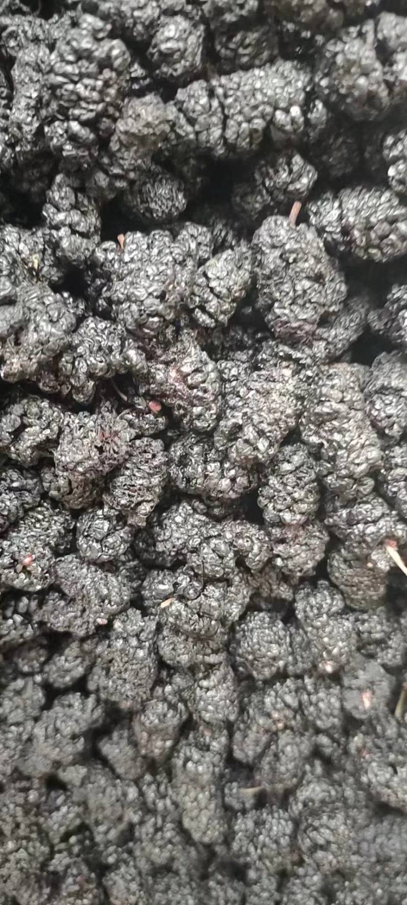 山东乐陵桑葚干，大量有货，质量保证，可视频看货，欢迎订购