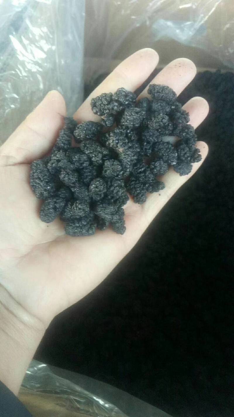 山东乐陵桑葚干，大量有货，质量保证，可视频看货，欢迎订购