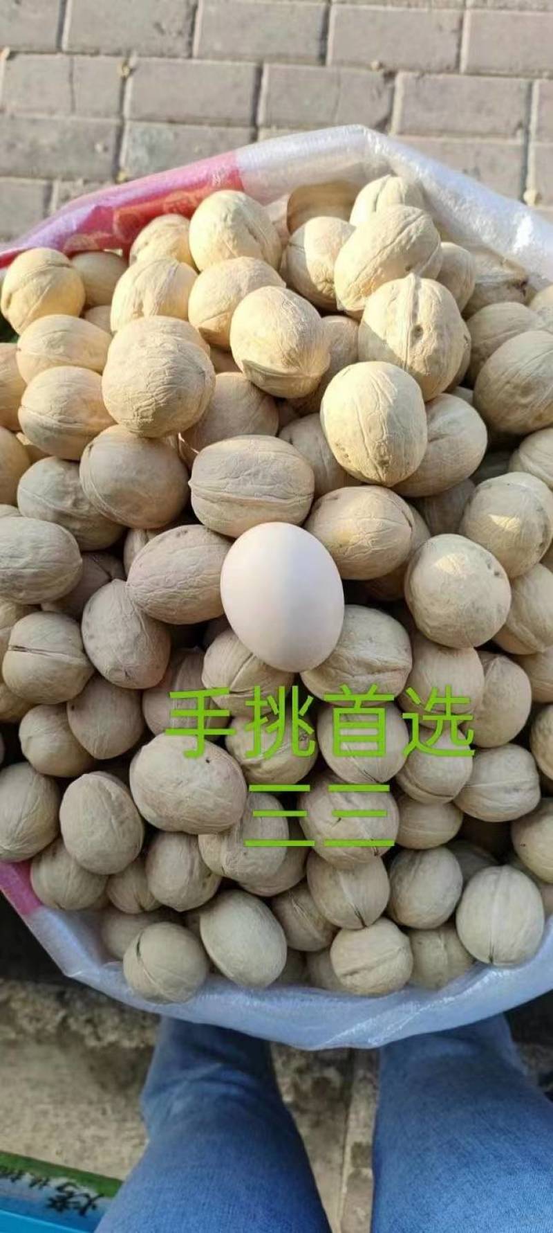 山东乐陵核桃，电商货质量保证，价格合适，可视频看货