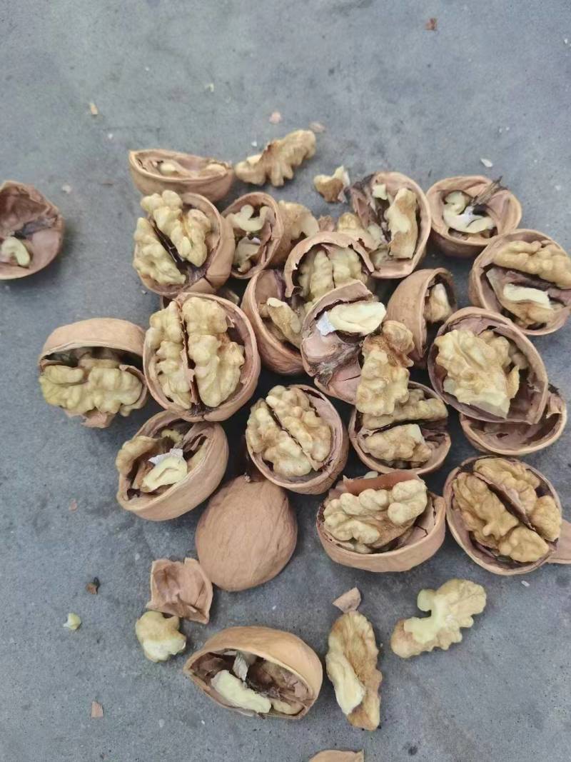 山东乐陵核桃，电商货质量保证，价格合适，可视频看货