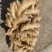 【精品】优质生姜,规格齐全,一手货源,保质保量,价格低