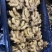 【精品】优质生姜,规格齐全,一手货源,保质保量,价格低