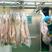 羊肉清真屠宰烤全羊羊羔肉产地批发14斤/18斤。