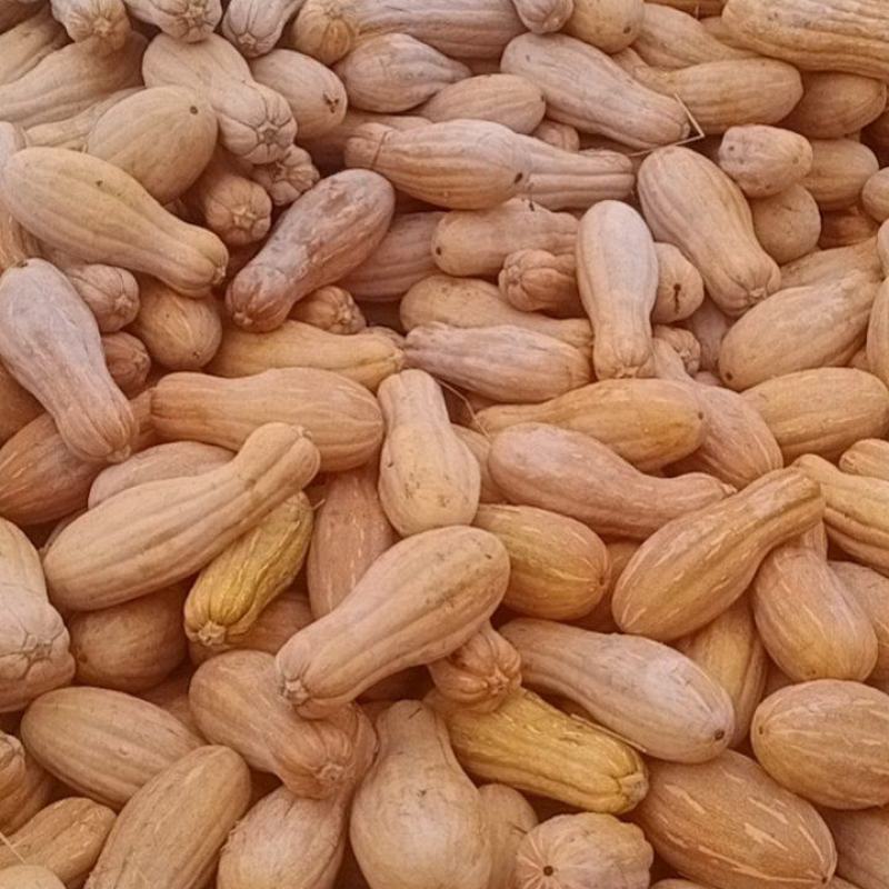 南瓜产地货源支持视频看货量大从优欢迎咨询