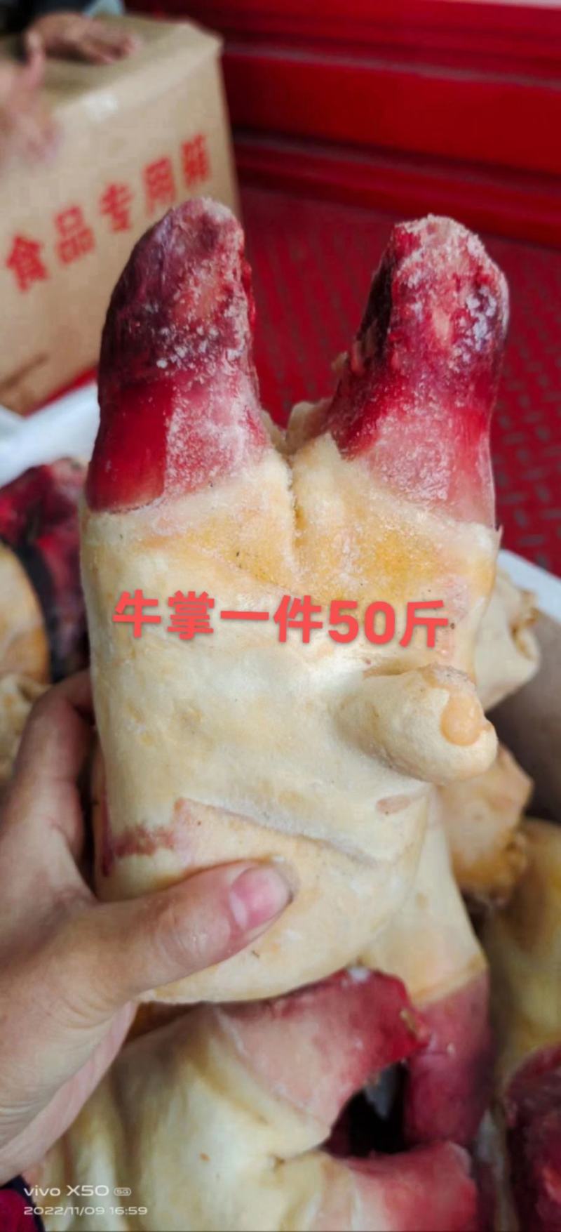 前，后，短牛蹄1件50斤炖汤烧适合所有人群1件起常年批发