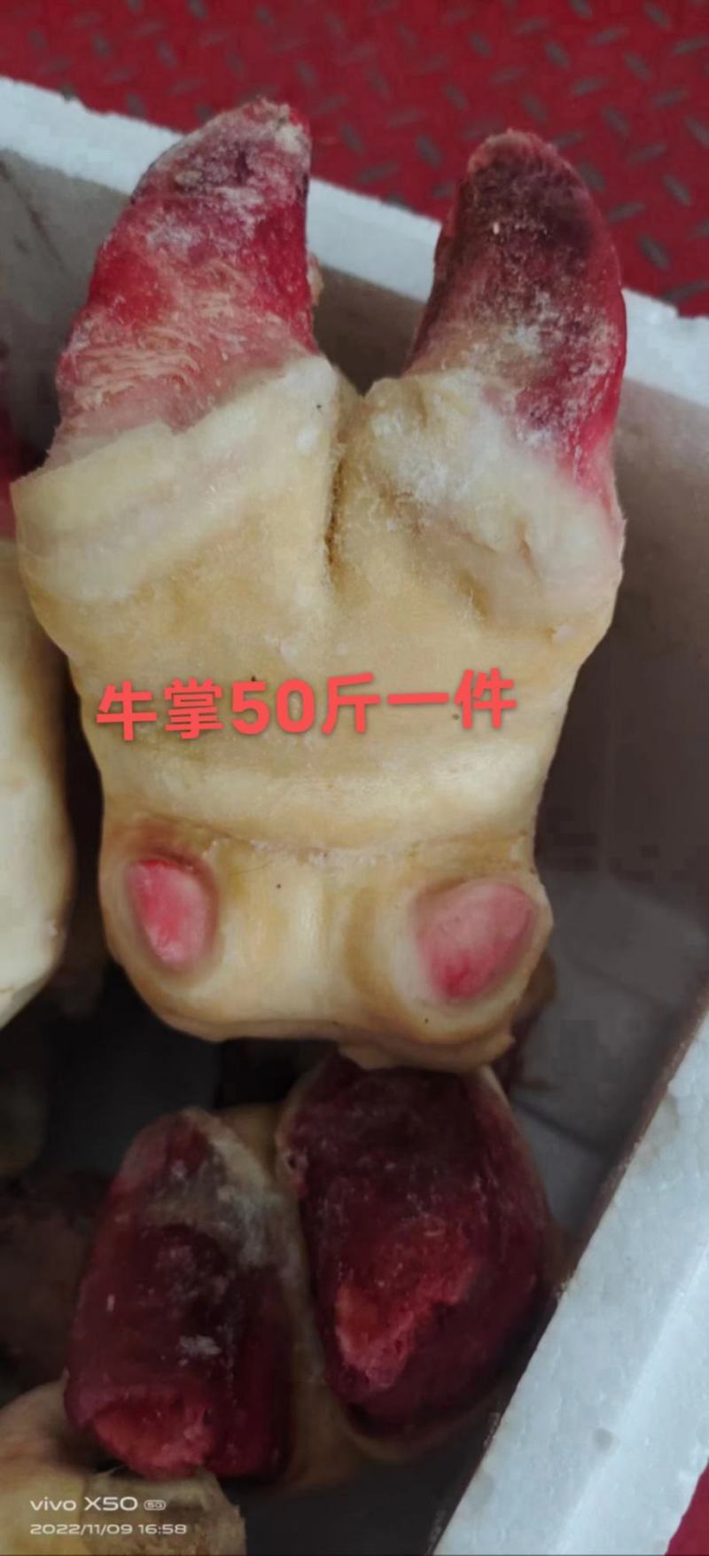 前，后，短牛蹄1件50斤炖汤烧适合所有人群1件起常年批发