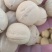 山东乐陵核桃，电商货质量保证，价格合适，可视频看货