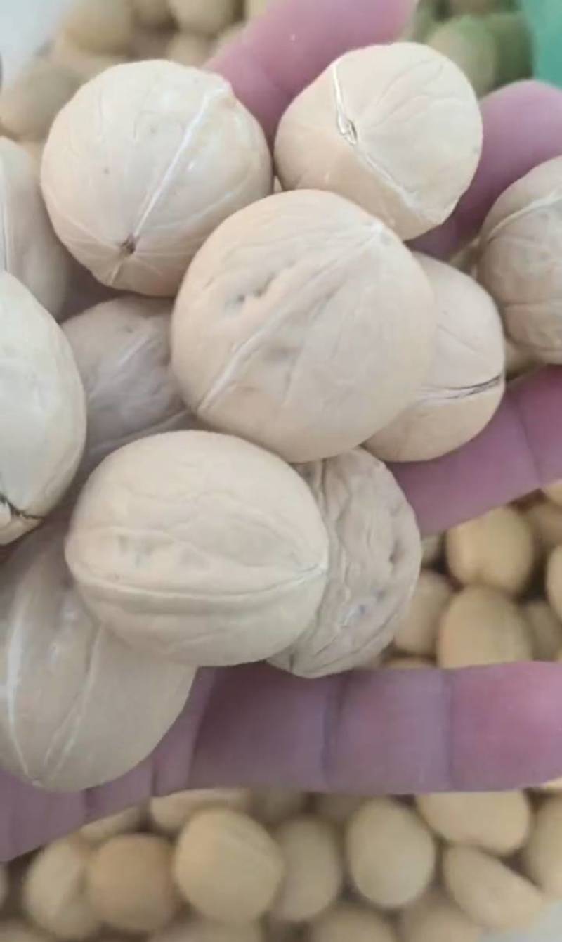 山东乐陵核桃，电商货质量保证，价格合适，可视频看货