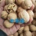 山东乐陵核桃，电商货质量保证，价格合适，可视频看货