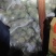 满堂红心里美萝卜大量供应不康心不花心质量有保