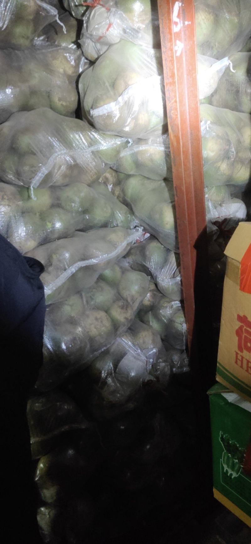 满堂红心里美萝卜大量供应不康心不花心质量有保