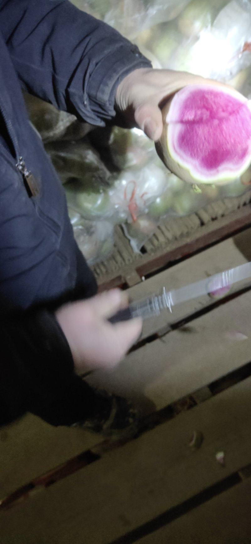 满堂红心里美萝卜大量供应不康心不花心质量有保