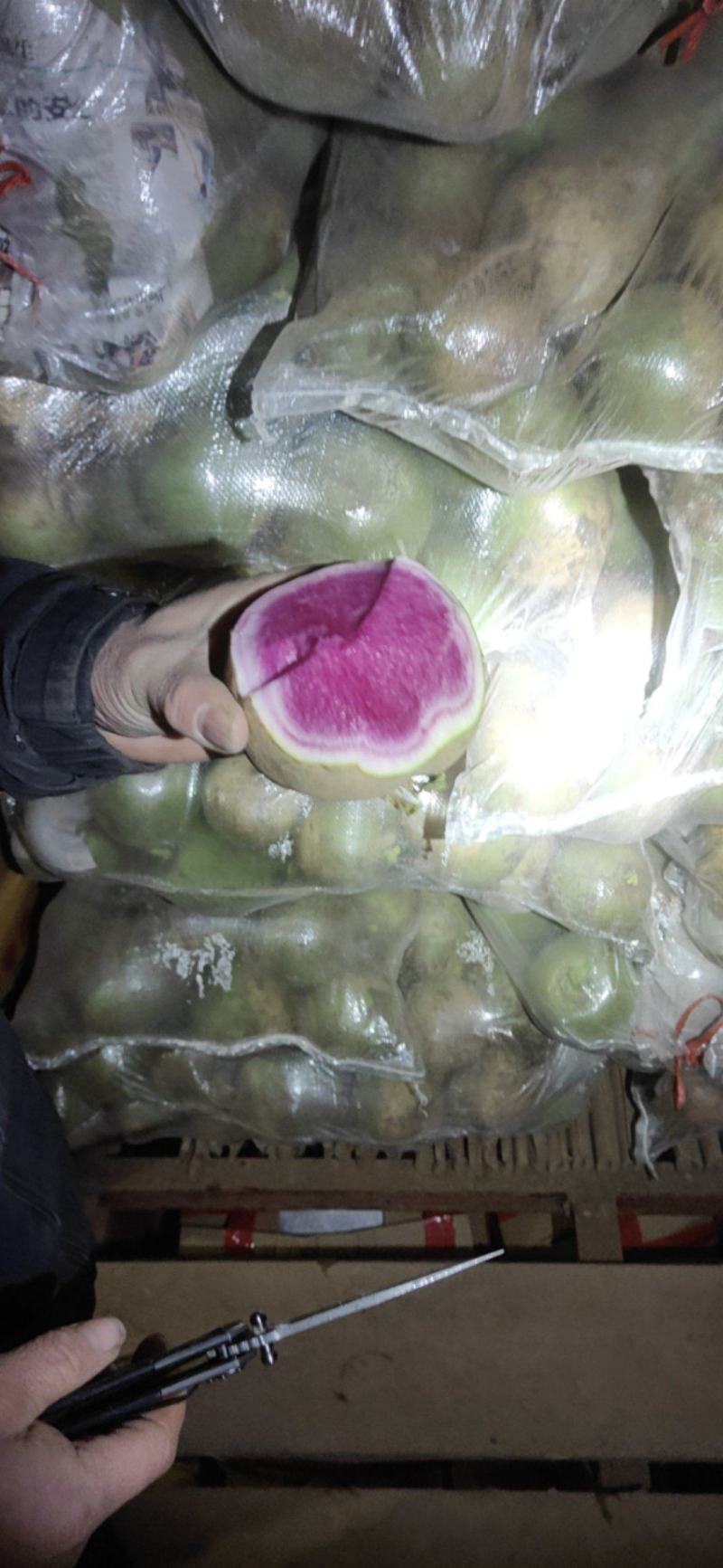 满堂红心里美萝卜大量供应不康心不花心质量有保
